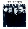 Mr Mister The Best Of Формат: Audio CD (Jewel Case) Дистрибьюторы: SONY BMG Russia, CAMDEN Лицензионные товары Характеристики аудионосителей 2008 г Сборник: Импортное издание инфо 13033z.