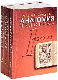 aparejo